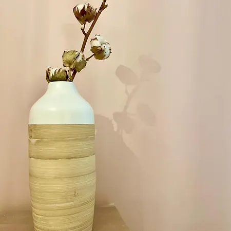 Apartamento Le Cocon