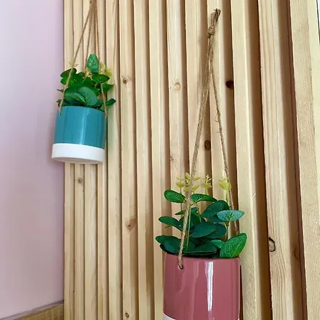 Le Cocon Apartment
